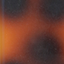 Tortoiseshell